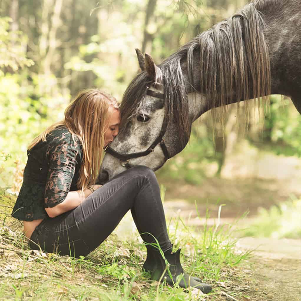 Paardencoach