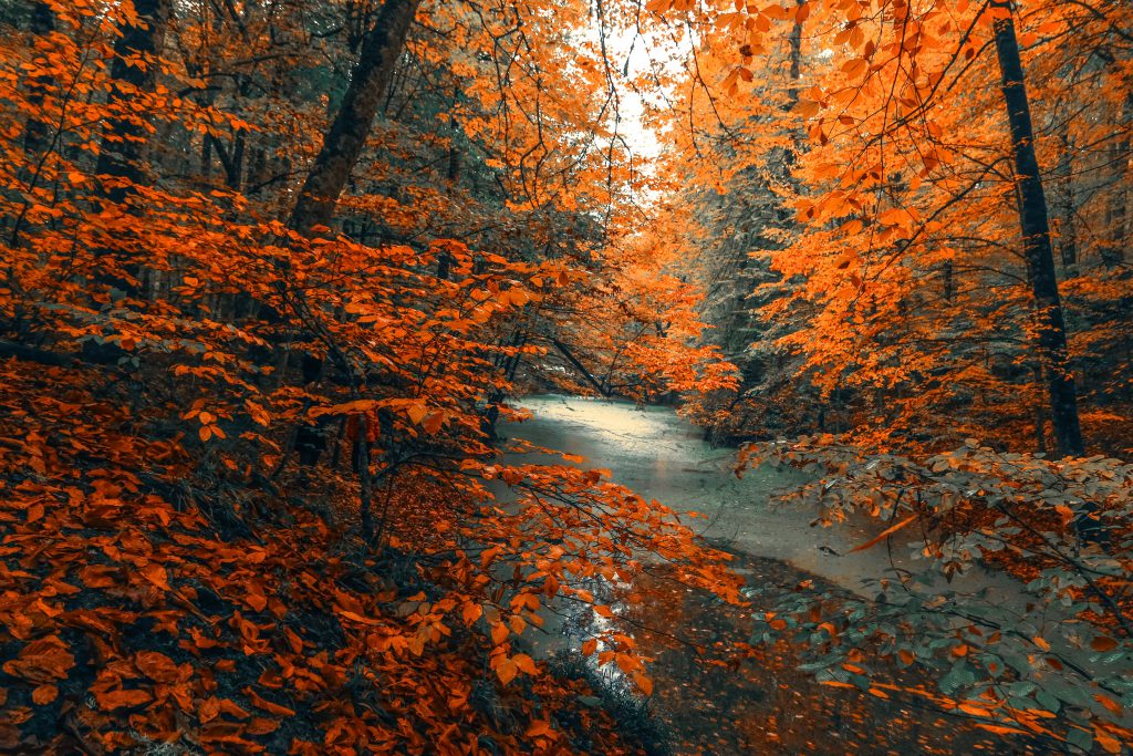 Lessen van de herfst