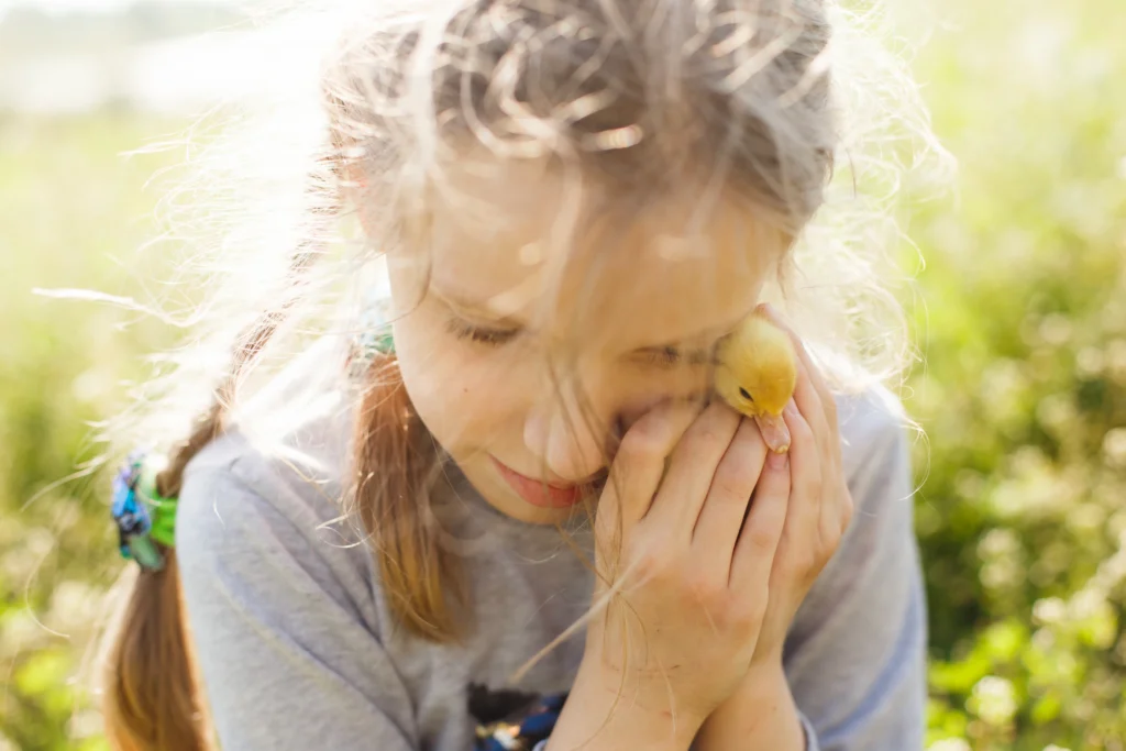 hsp-kinderen-tips