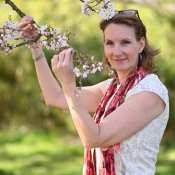 Alessandra-kersenbloesem