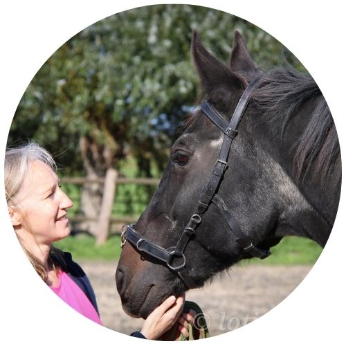 Foto-rond-1-Andromeda-Horsecoaching-Healing-Stones