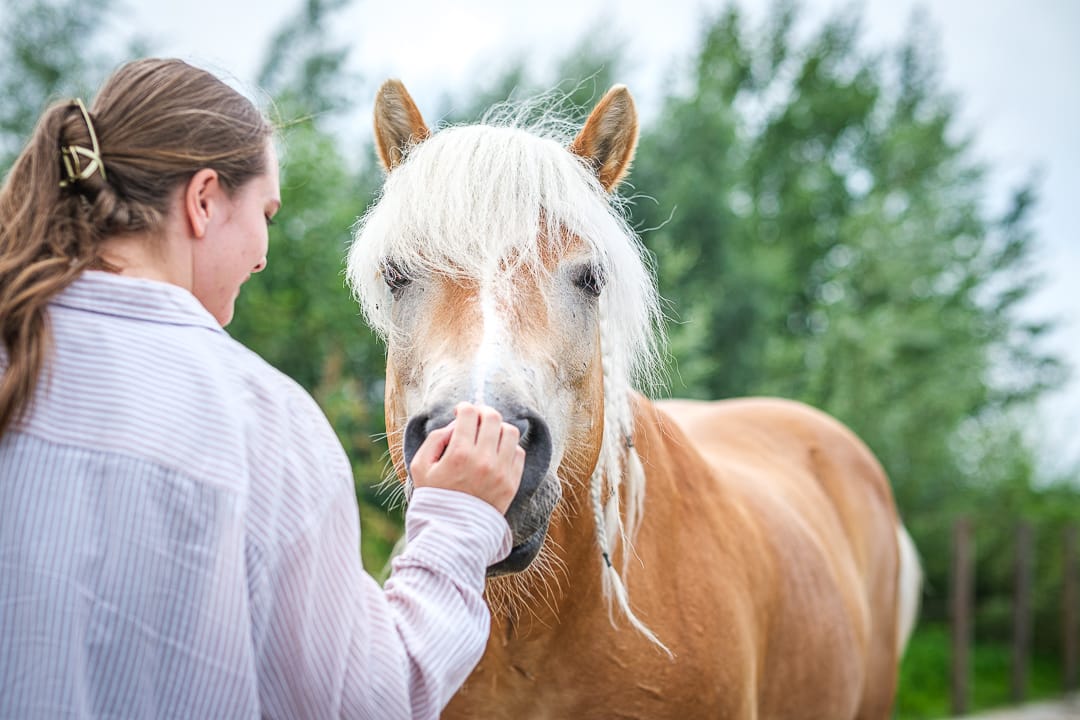 BOOMBEEK-TRAININGEN_09-07-2024-4156