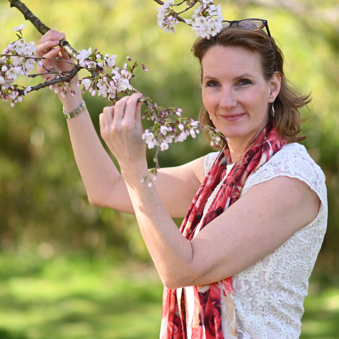 Alessandra-kersenbloesem